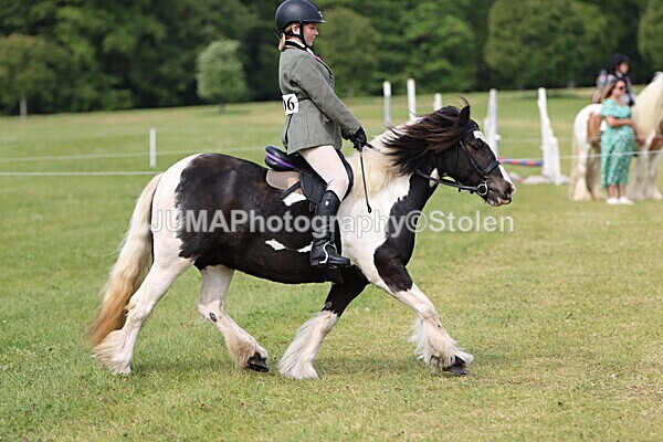 IMG_2411 - Working Hunter