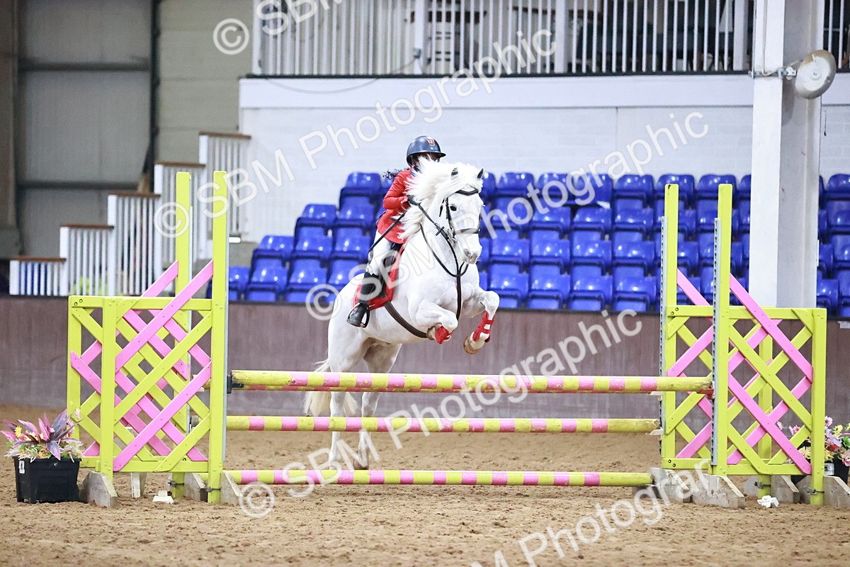 SBM_001763 - Class 9 - Pony Intro 75cm