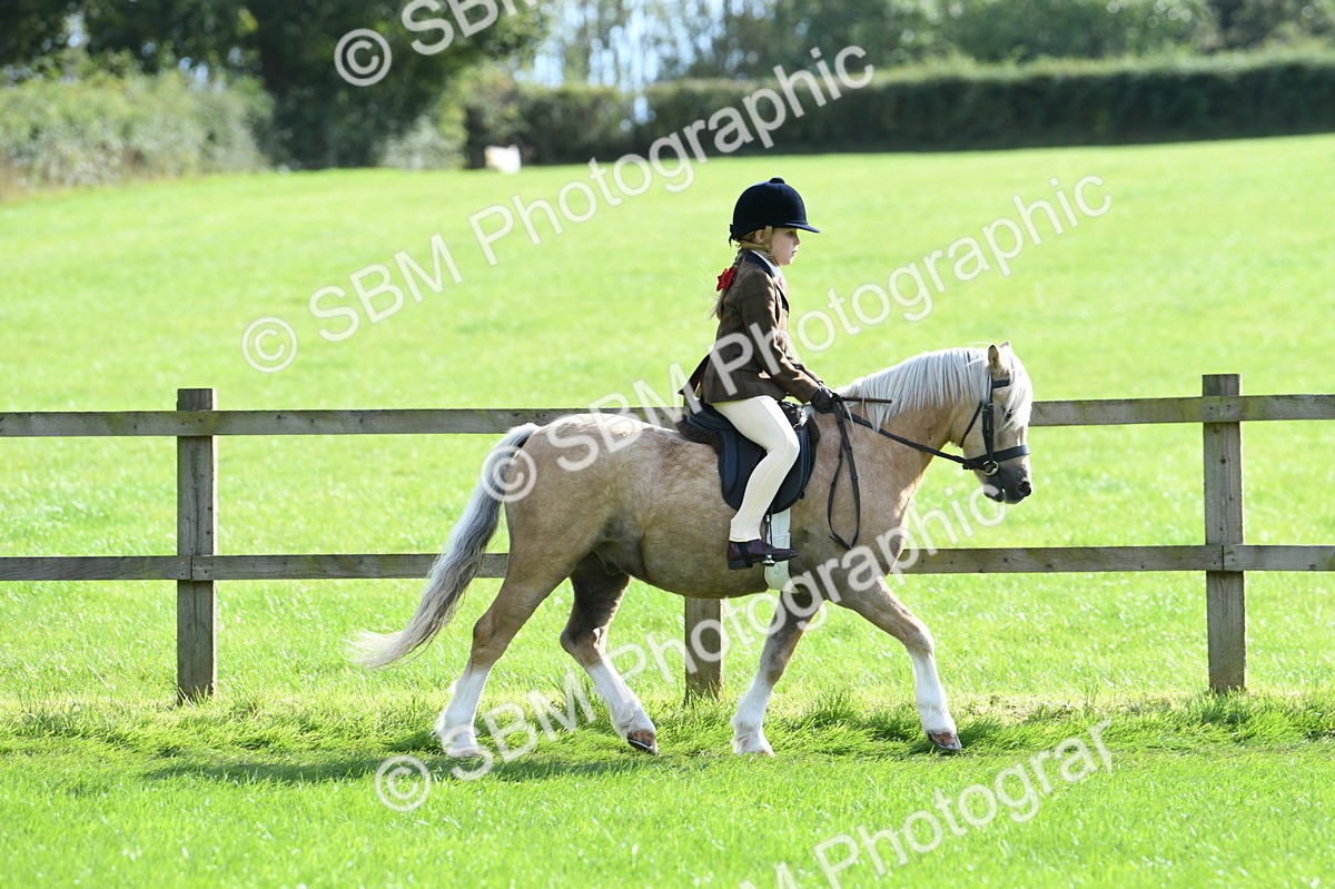 SBM_50260 - S21 - Novice & Newcomers 1st Ridden Pony