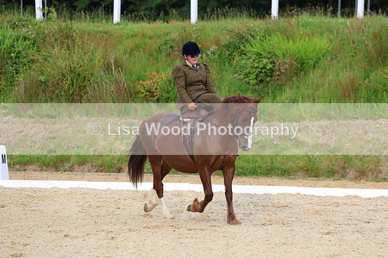 3E7A2050 - Class 3: Prelim 2 2024 Section A