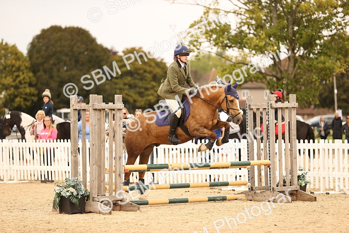 SBM_72526 - J14 - Junior Pony 65cm Championship