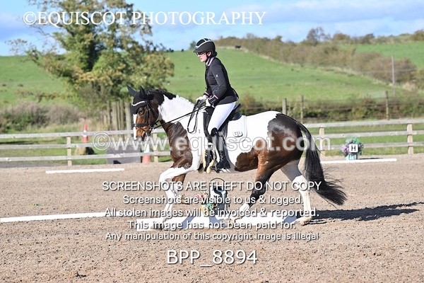 BPP_8894 - LONG ARENA NOVICE 6