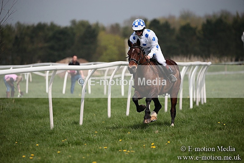 PtP 210418 43 - South & West Wilts Point-to-Point Larkhill 21/04/18