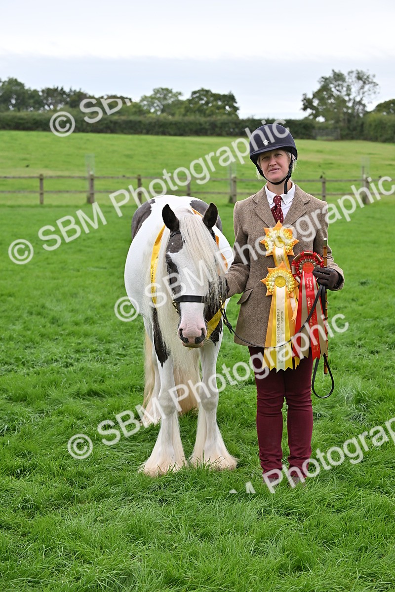 SBM_65059 - In Hand Pony & Younstock Supreme Championship