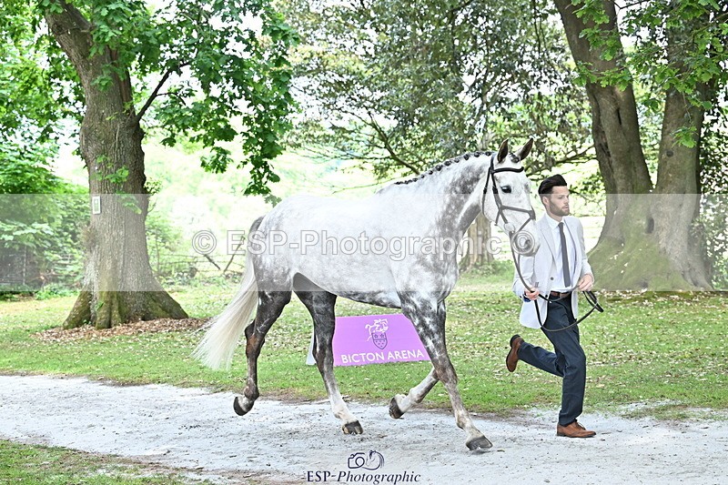 250521A-152519-00498 - B-311-Barnie.Brotherton-WHIXLEY.QUALITAS