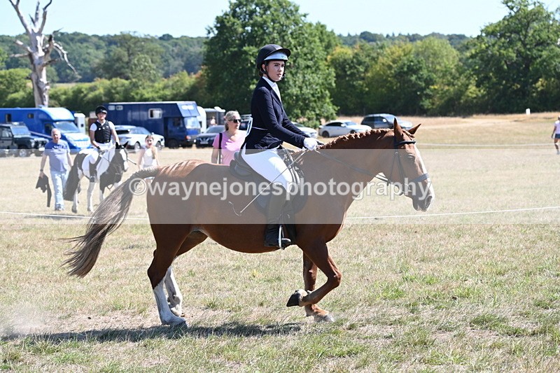 WJ6_8351 - Class 37a Best Loan Pony Ridden