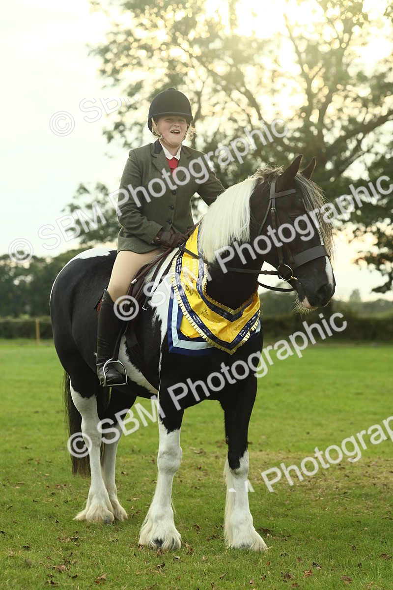 SBM_75320 - Super Supreme Championship