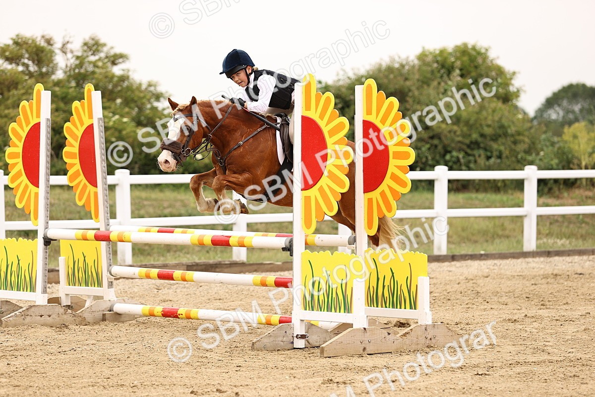 SBM_002784 - Class 5 - 80cm