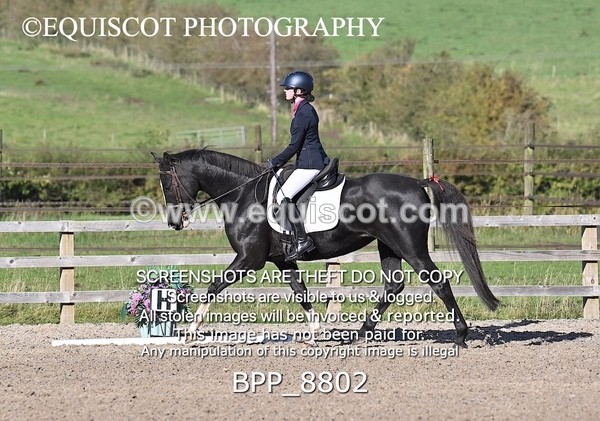 BPP_8802 - SHORT ARENA INTRO 2