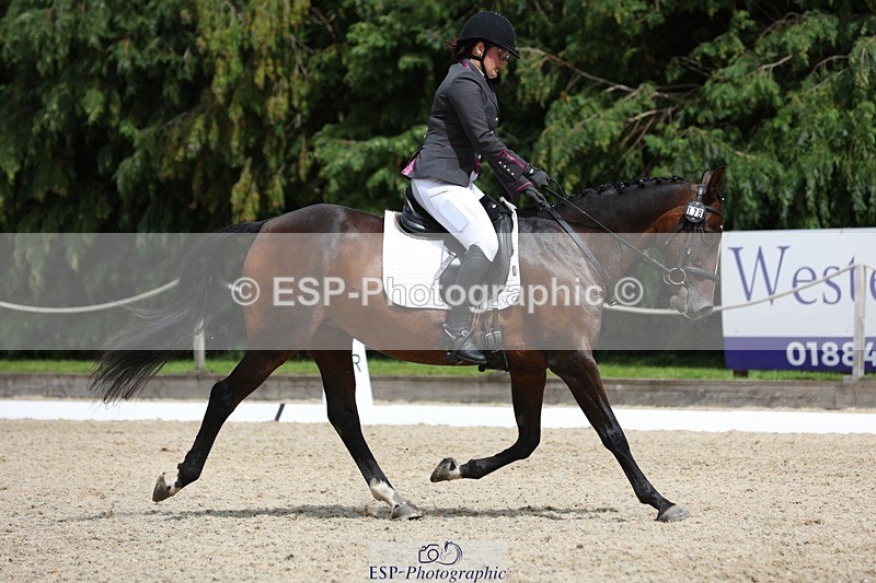 230812-135337-04336 - Cls 5 Novice Bronze 13.40 to 14.45 break