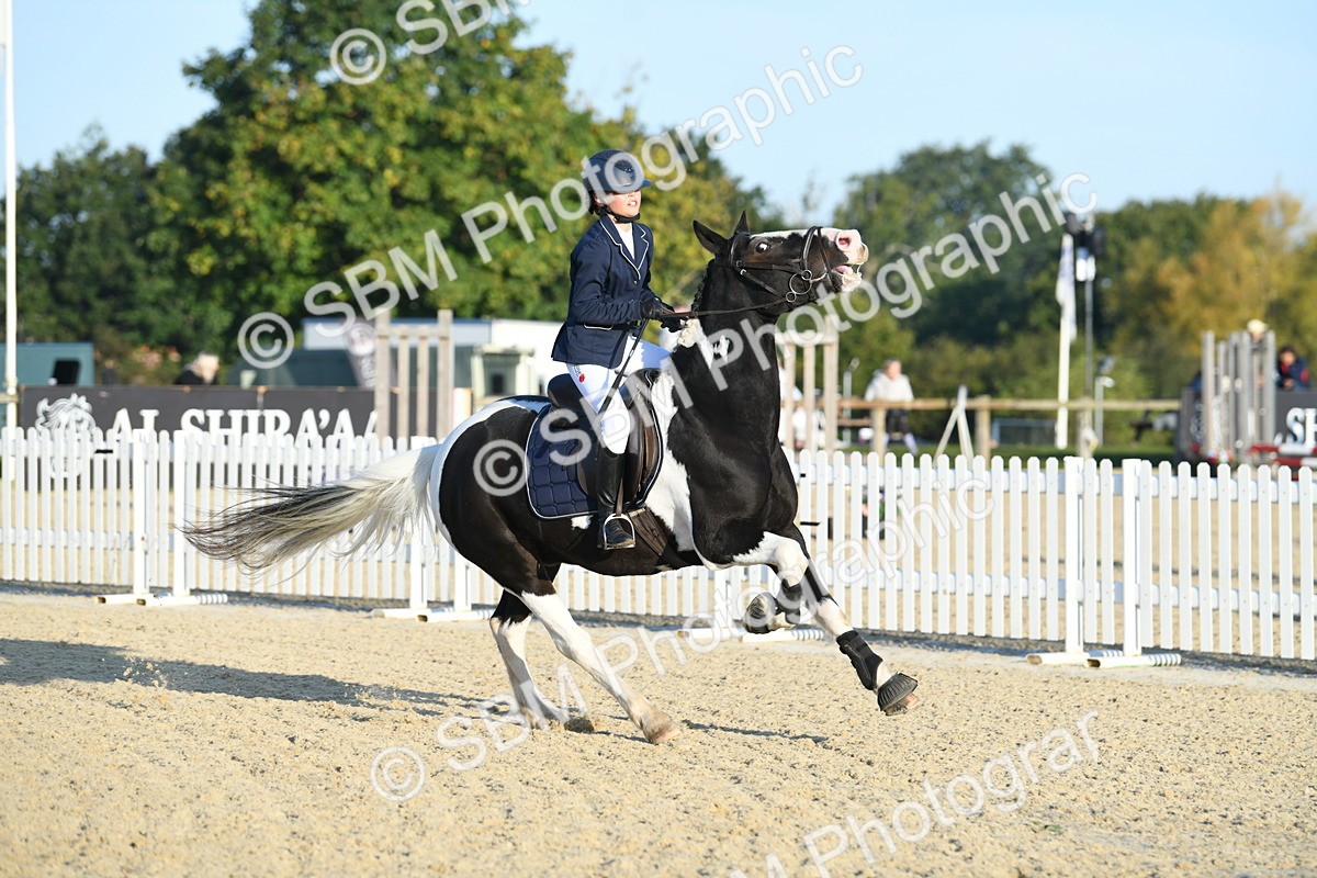 SBM_58072 - J24 - Junior Horse 75cm Championship