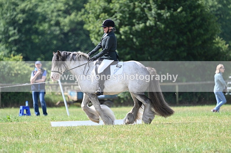 WJ7_3707 - Time 10:28 to 10:42