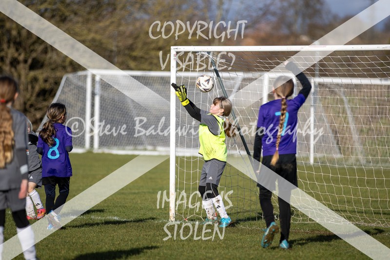 1DX31356 - 2026-01-17 FC Abbey Meads U9 Purple Girls V Develop FC U9 Girls