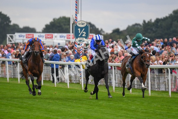 230823-Race 4-Mostahdaf-0563 - Race 4 3.35pm Juddmonte International Stakes