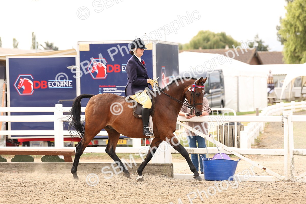 SBM_01575 - Class 52 - Ridden Veteran