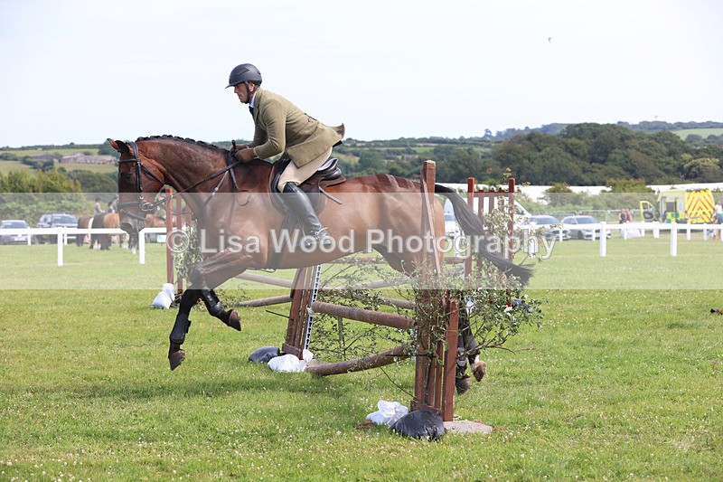 JPP_3765 - Class 23: Working Hunter 80cm