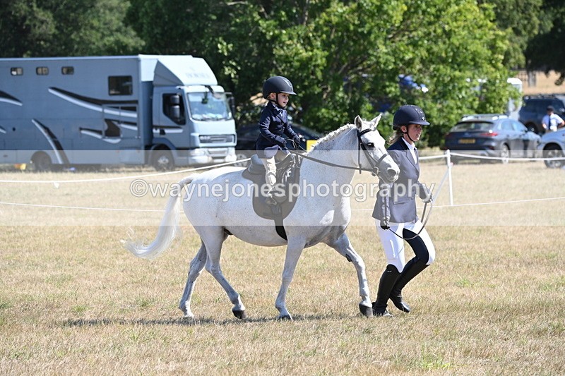 WJ6_7760 - Class 36 Lead Rein