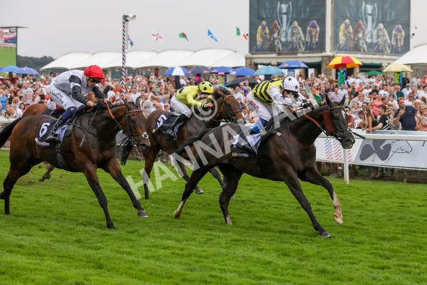 100923-Race 5-Commanche Falls-3960 - Race 5 3.50pm BetGoodwin Garrowby Stakes
