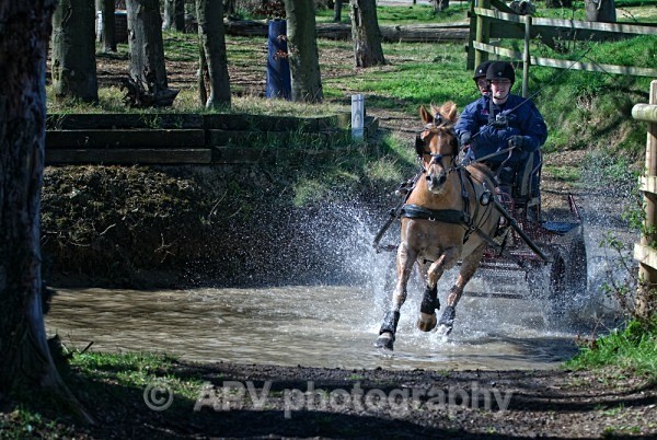 _DSC0016sml - Ashfields Carriage & Polo Club