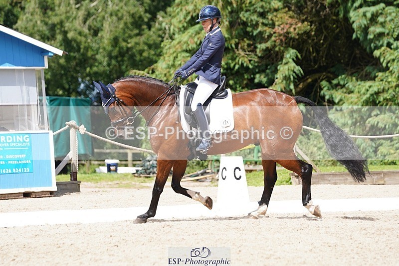 240721-151146-09998 - 195-Dawn_Bear-First_Taylor_Made