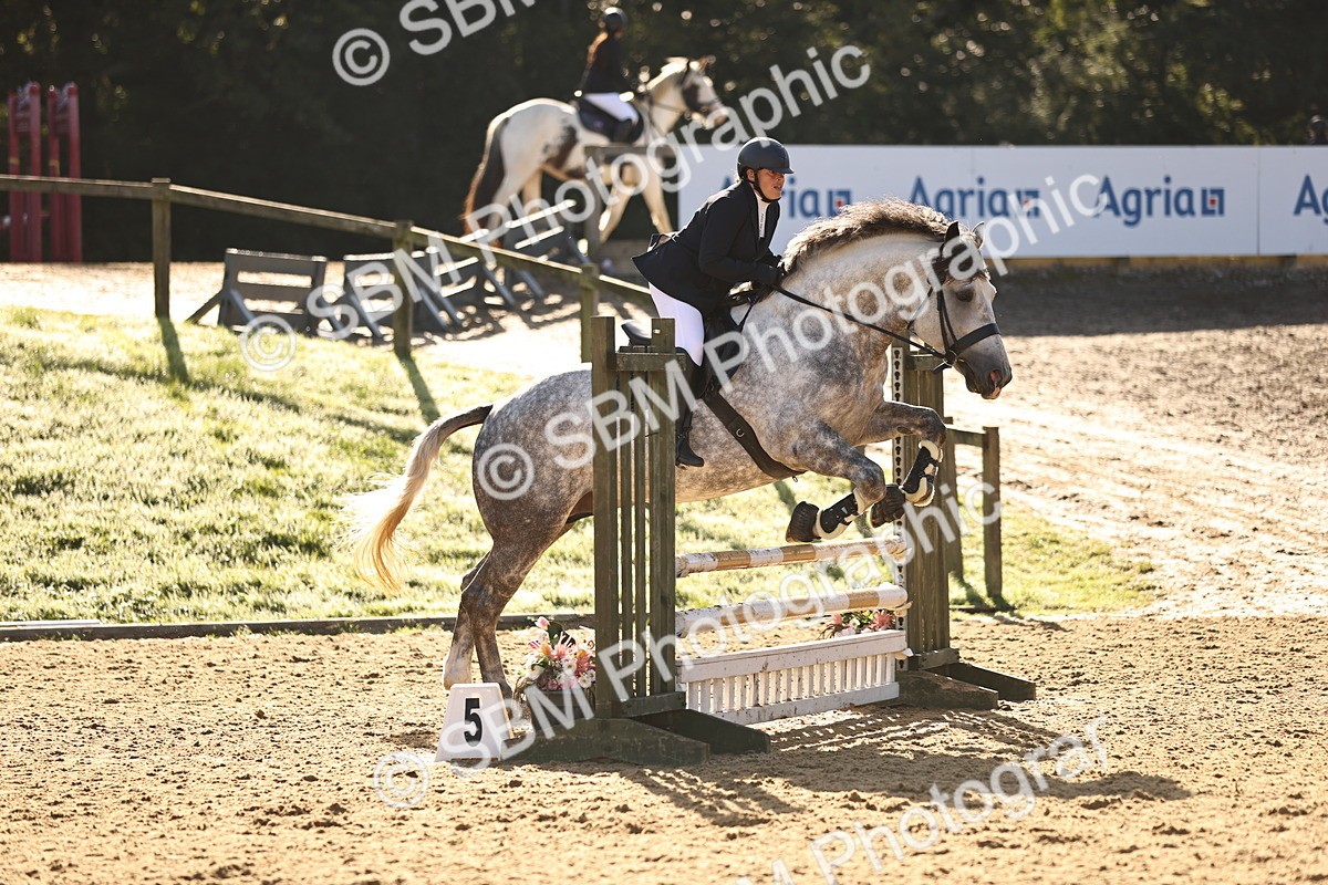 SBM_35155 - J38 - Senior 80cm Championship