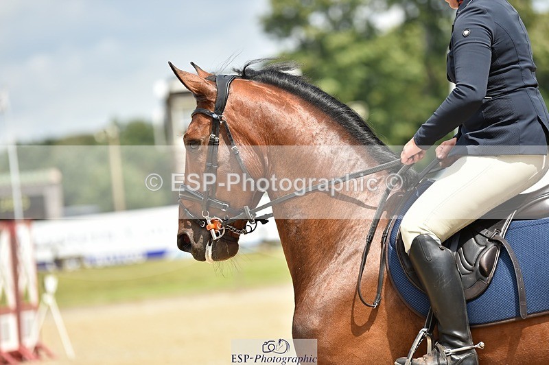 230706-120820-02789 - Cls 6 Newcomers & 1.10m Open