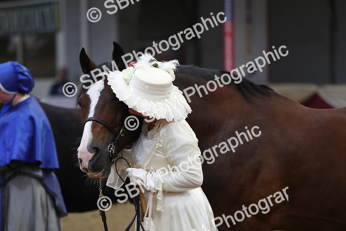 SBM_10770 - Class 103 IH Costume