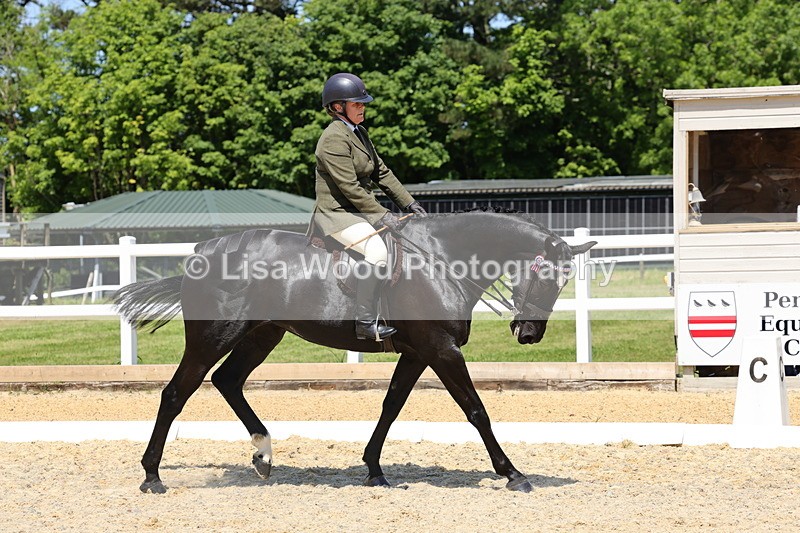 1X9A1827 - Class 12: Ridden Riding Horse/Hack