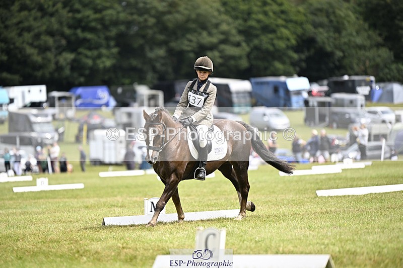 240824X-124718-26527 - D80 Section E and F 12.00 to 13.20