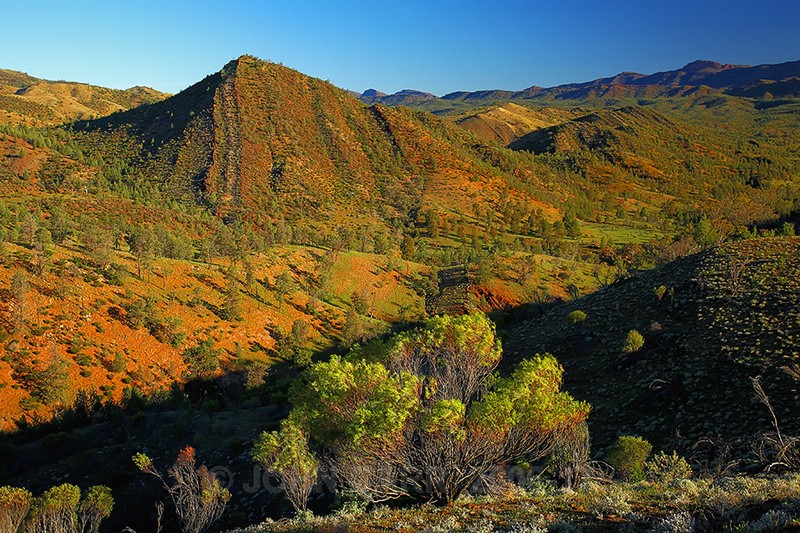 Flinders Geosyncline-173 - FLINDERS RANGES PHOTOS