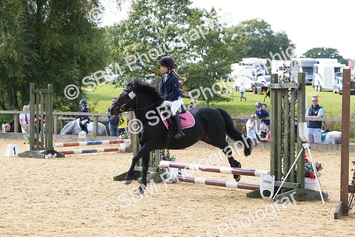 SBM_68371 - J3 - Mini Tour Junior Pony 40cm Championship