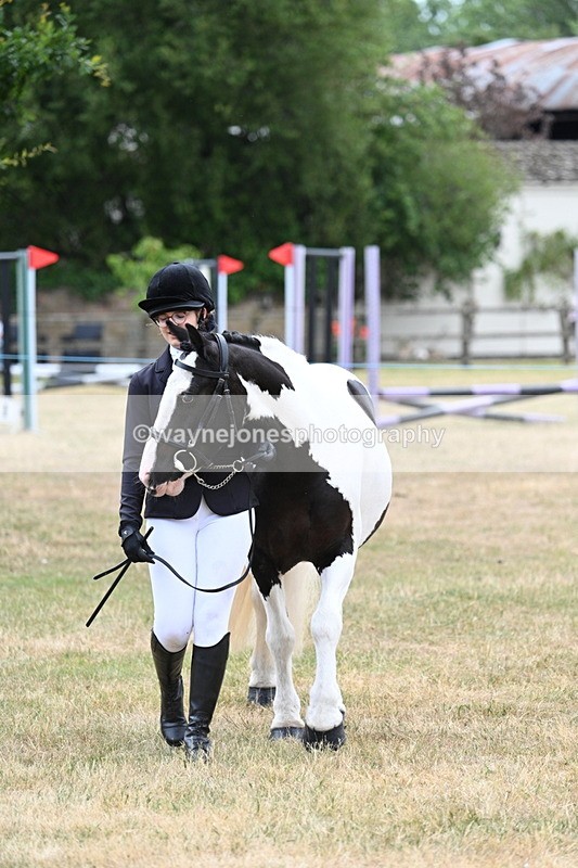WJ7_1423 - Class 4 Prettiest Mare up to 14.2hh in hand