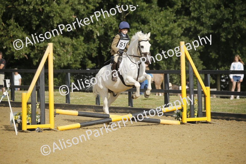 20250622-1253 - 40cm