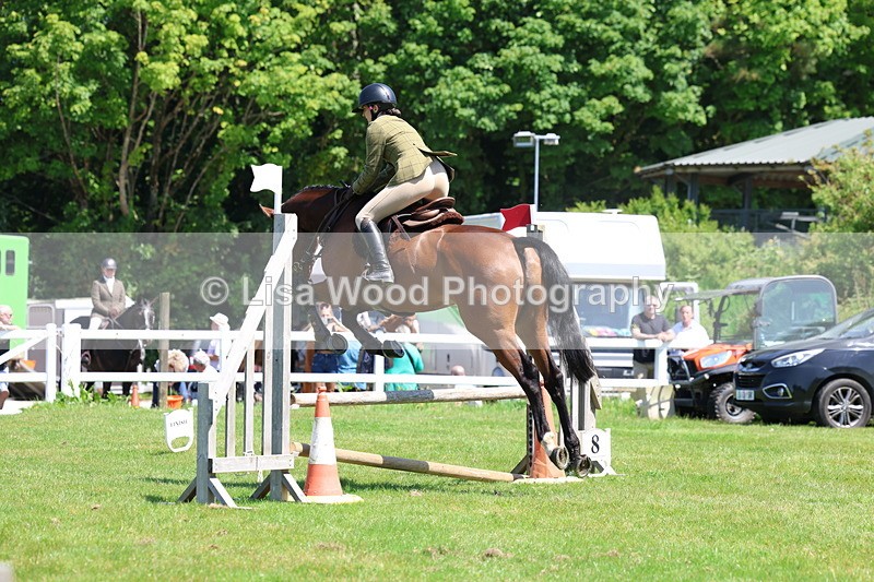 3E7A7096 - Class 30: Novice Working Hunter
