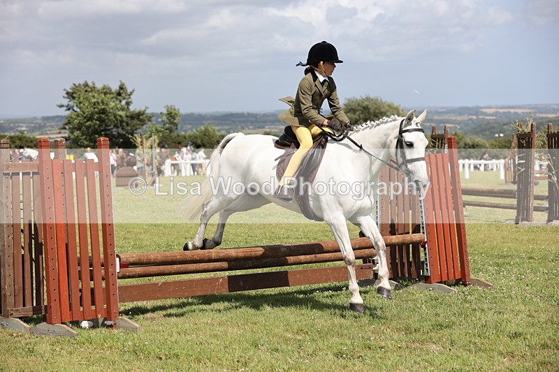 JPP_2098 - Class 19: Working Hunter 60cm