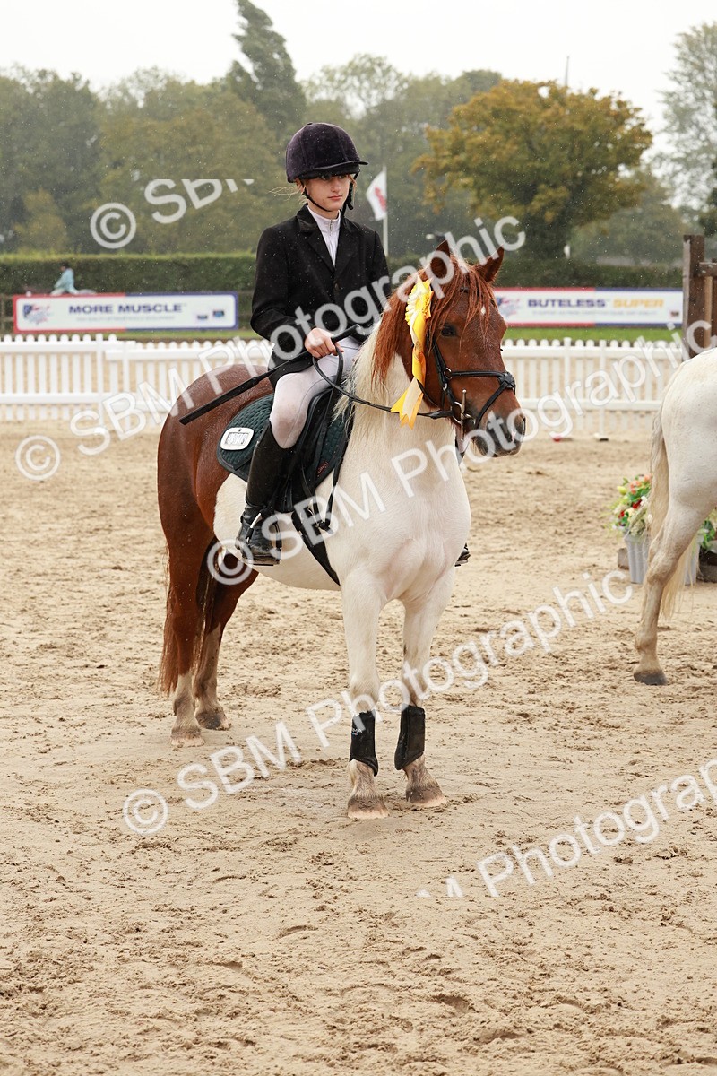 SBM_72307 - J14 - Junior Pony 65cm Championship