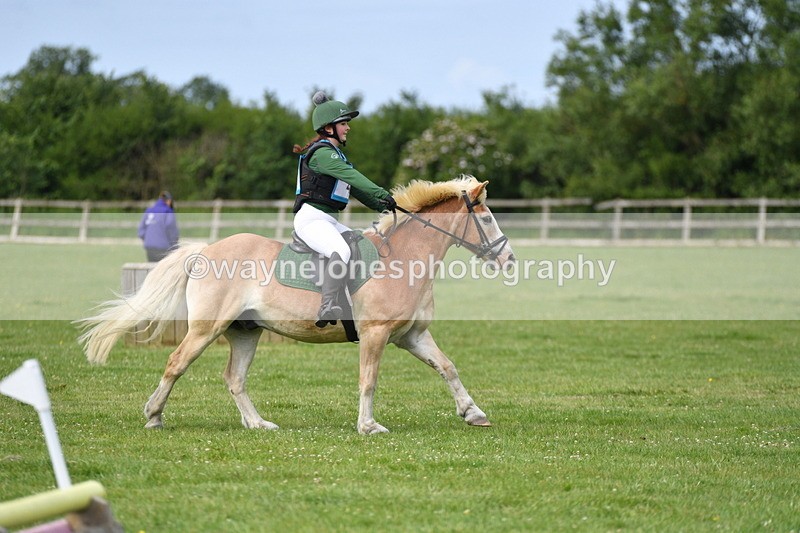 WJ5_2313 - Class 2 40cm