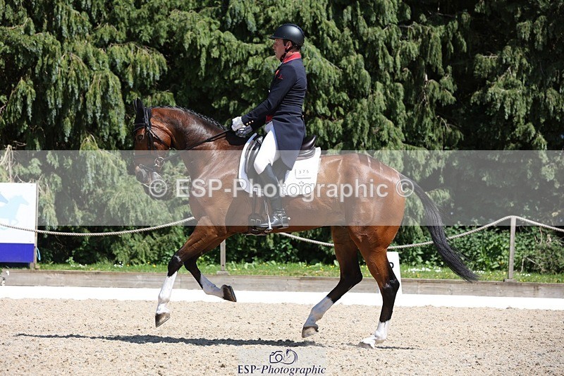 230526-144711-06545 - 375-FINLEY_DU_LOIR-Oliver_Townend-WEDTrotUp+DR