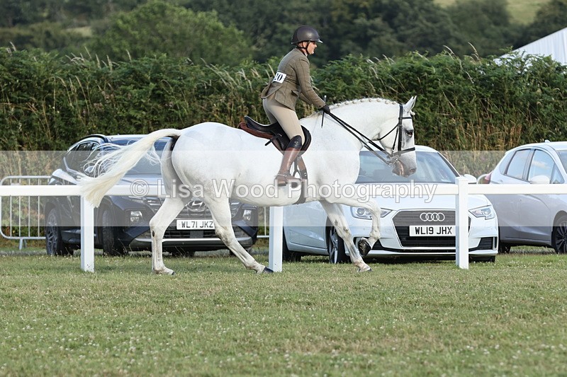 JPP_3584 - Class 22: Working Hunter 90cm