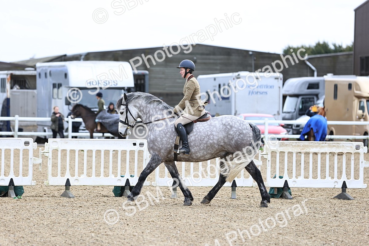 SBM_006973 - Class 29 - 30 - M&M Pure Novice Small-Large Breeds