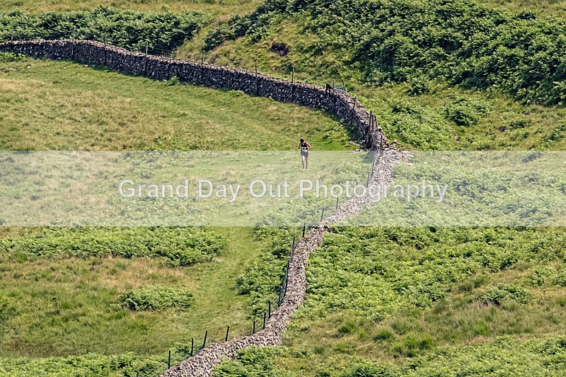 Wasdale-177 - Wasdale Horseshoe Fell Race (Bad weather route) Saturday 11th July 2026