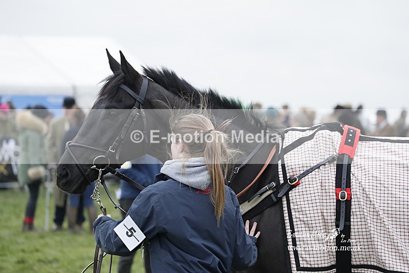 PtP 050323 1044 - Blackmore & Sparkford Vale Hunt PtP - Somerset 05/03/23
