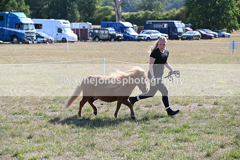 WJ6_7277 - Class 33 Rescue Pony