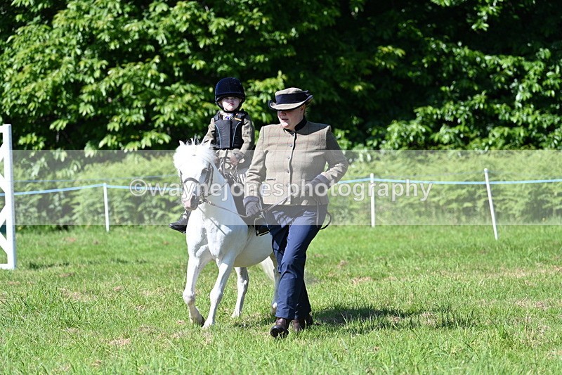 WJ7_0574 - Class 8 First Rally Pony