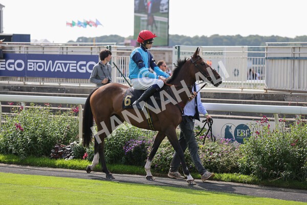 yr05092021rP-3 - Pony Races 138 and 148 cm