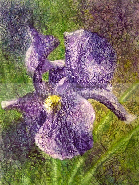 Purple Iris - Original Art