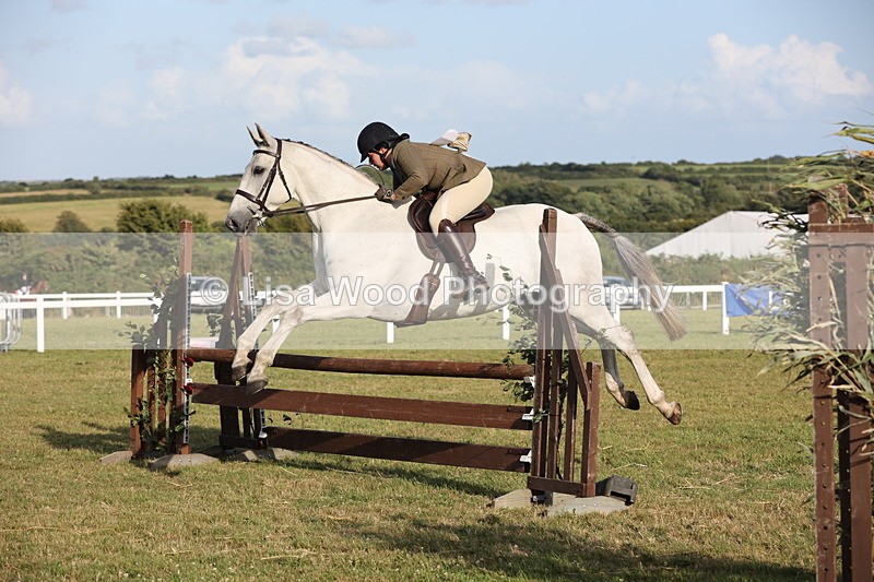 JPP_3493 - Class 22: Working Hunter 90cm