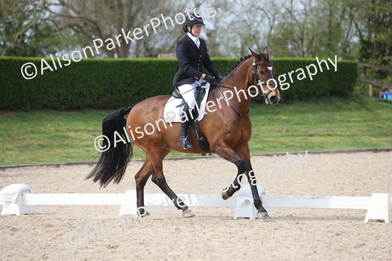 20260404-0832 - Class 5 - Novice 2