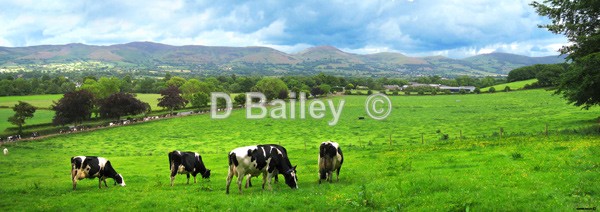 Panoramic landscape photo of the Vale of Clwyd