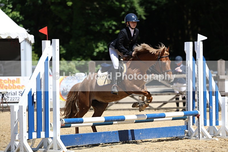 3E7A2490 - Class 4/5: 60cm Open Teams and Individuals